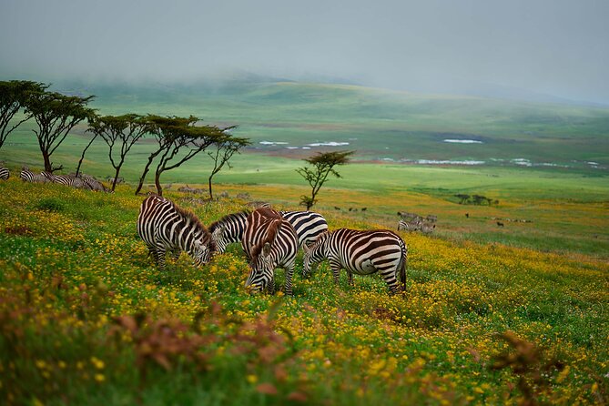 3-Day Manyara, Tarangire and Ngorongoro Crater - Booking cautions and cancellation terms