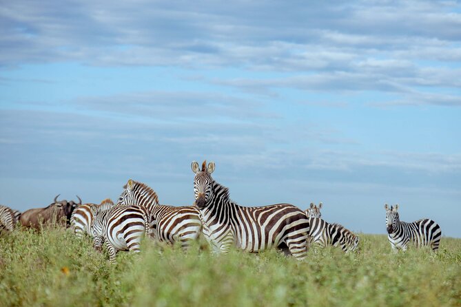 3-Day Manyara, Tarangire and Ngorongoro Crater - Day one: Lake Manyara and the Mto wa Mbu gateway