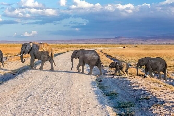 3-Day Ngorongoro Crater Manyara and Tarangire Safari from Arusha - Three parks in three days