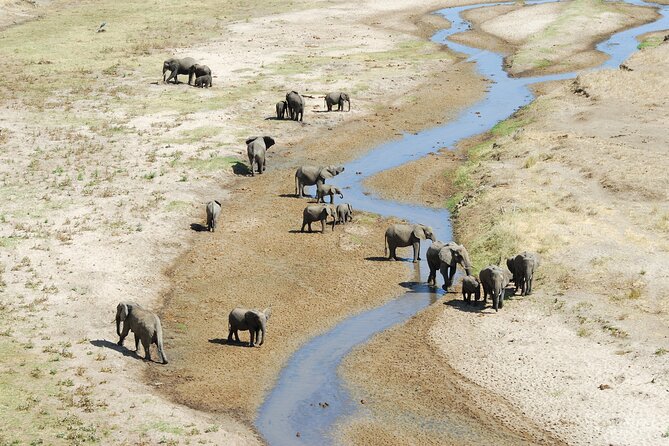 3-Day Private Safari to Lake Manyara, Tarangire & Ngorongoro - Ngorongoro Crater and the 600-meter descent
