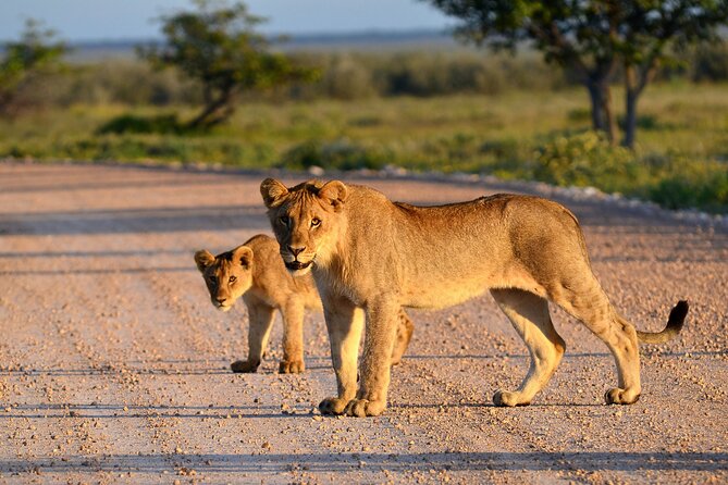 3-Day Private Safari to Lake Manyara, Tarangire & Ngorongoro - Camping, meals, and the meaning of luxury here