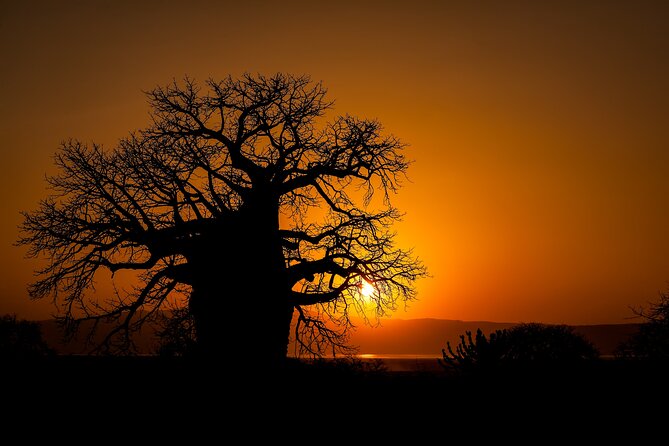 3-Day Private Safari to Lake Manyara, Tarangire & Ngorongoro - Is three days enough for this route?