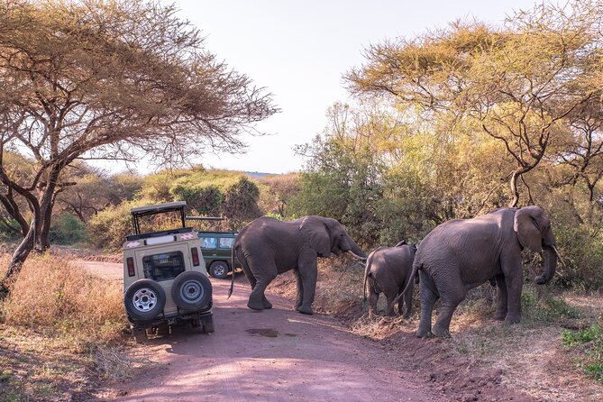 3-Day Private Safari to Lake Manyara, Tarangire & Ngorongoro - Tarangire’s baobabs and elephant country