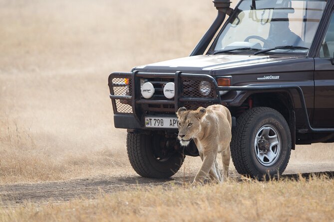 3 Day Private Serengeti Safari Tour with One Way Flight - What private touring adds