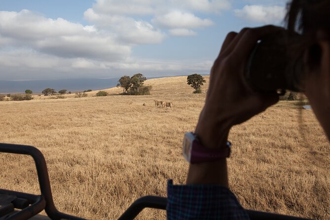 3 Day Private Serengeti Safari Tour with One Way Flight - Accommodation, meals, and the comfort level