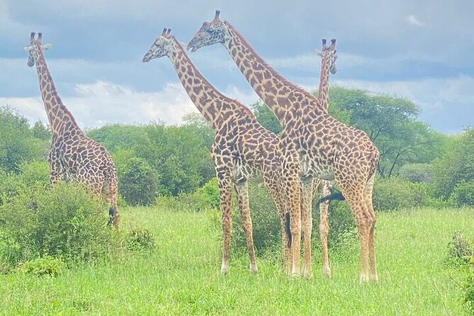 3 Day Safari Expedition from Arusha - Three days that mix wildlife with village life