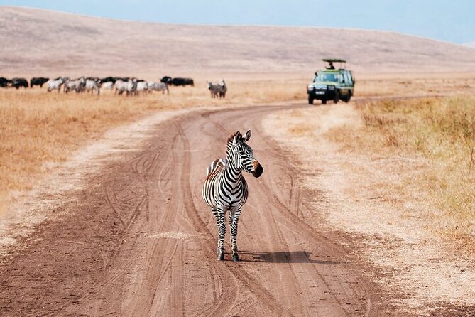 3 Day Safari Expedition from Arusha - Day 2: The 600-meter descent into Ngorongoro Crater
