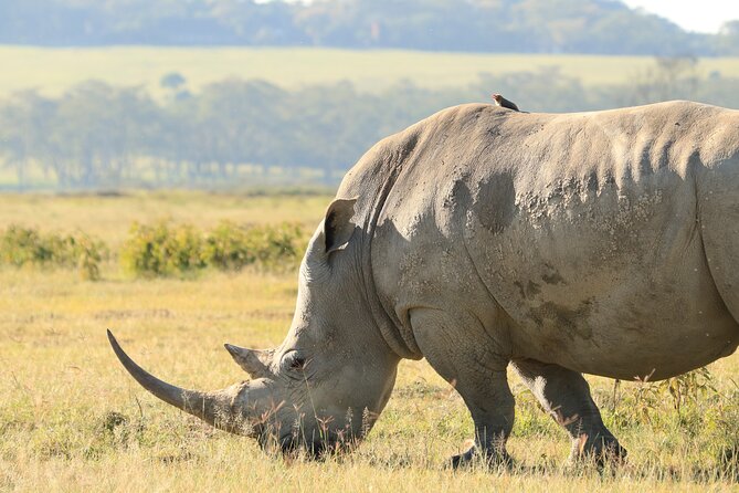 3-Day Safari in Serengeti & Ngorongoro(Mid-range) - What the $2,480 price means