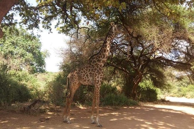 3-Day Safari to Ngorongoro, Tarangire & Lake Manyara NP - What the guides and food can add