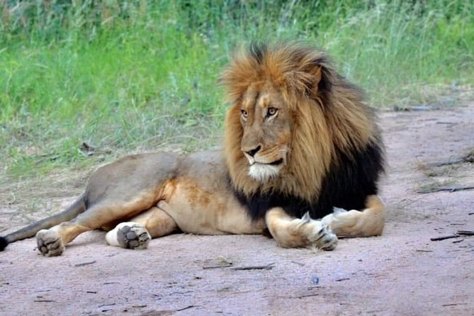 3-Day Safari to Ngorongoro, Tarangire & Lake Manyara NP - Group size, transport, and daily comfort