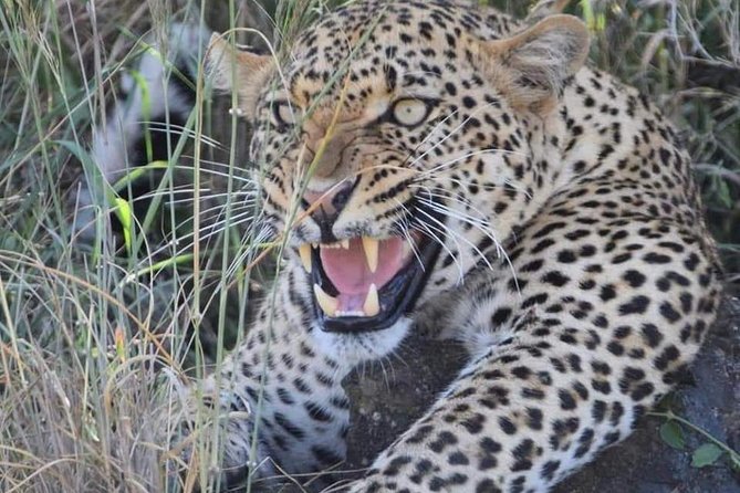3-Day Safari to Ngorongoro, Tarangire & Lake Manyara NP - Who will enjoy this safari most