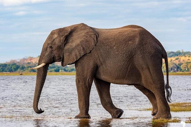 3 Day Safari to Serengeti National Park and Ngorongoro Crater - What $855 buys you on this Tanzania safari