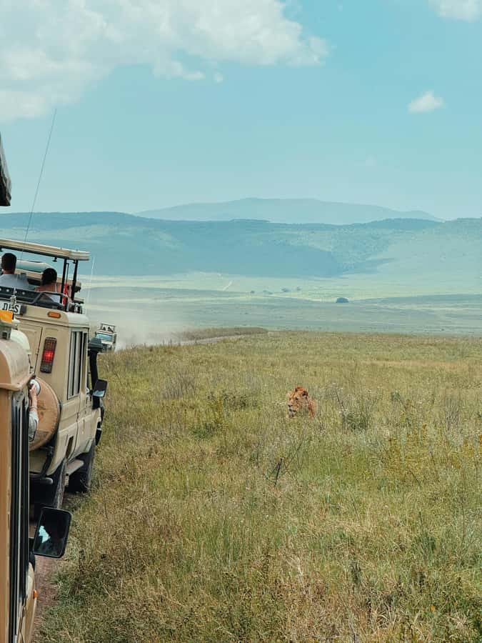 3-Day Safari to Serengeti & Ngorongoro + Balloon experience - Key points to know before booking
