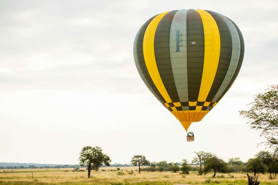 3-Day Safari to Serengeti & Ngorongoro + Balloon experience - Day one: Arusha to the Serengeti plains