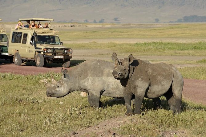 3-Day Safari Tour to Tarangire National Park, Lake Manyara National Park and Ngorongoro Crater from Arusha - Day three: the Ngorongoro Crater finale