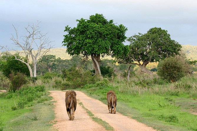 3-Day Safari Tour to Tarangire National Park, Lake Manyara National Park and Ngorongoro Crater from Arusha - What the included price really covers