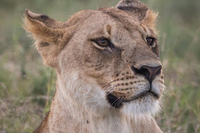 3-Day Selous Reserve mid-Range Safari - Key points before you book