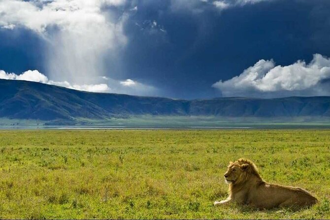 3 Day Sharing Safari - Manyara, Ngorongoro Crater and Tarangire National Parks - Five details that shape the safari