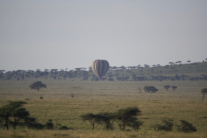 3 Day Sharing Safari - Manyara, Ngorongoro Crater and Tarangire National Parks - What the $870 price really covers
