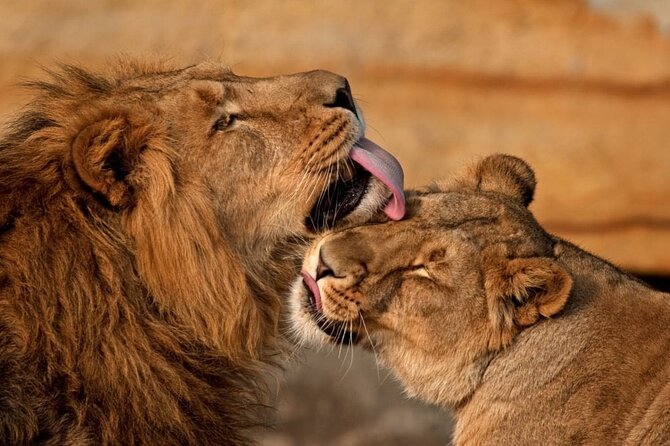 3 Day Sharing Safari - Manyara, Ngorongoro Crater and Tarangire National Parks - Who will get the most from this route?