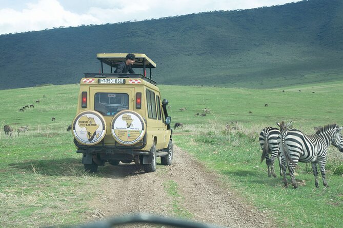 3-Day Tanzania Group Safari-Tarangire, Ngorongoro & Lake Manyara - Meals, lodge nights, and daily comfort