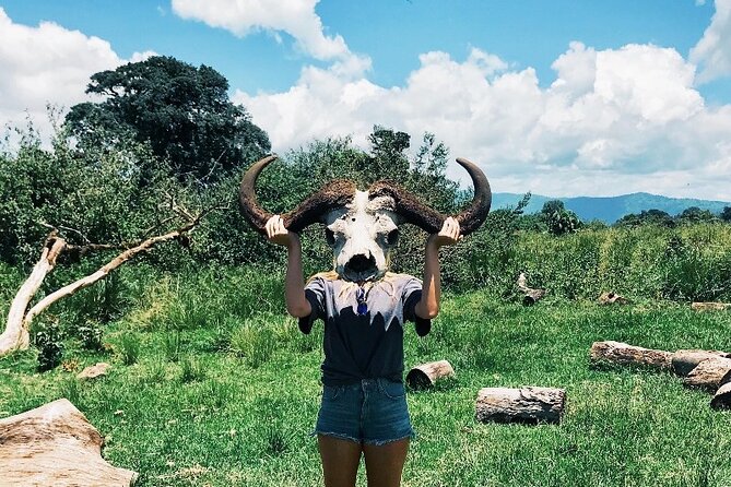 3-Day Tarangire, Lake Manyara and Ngorongoro - Day 1: elephants and baobabs in Tarangire