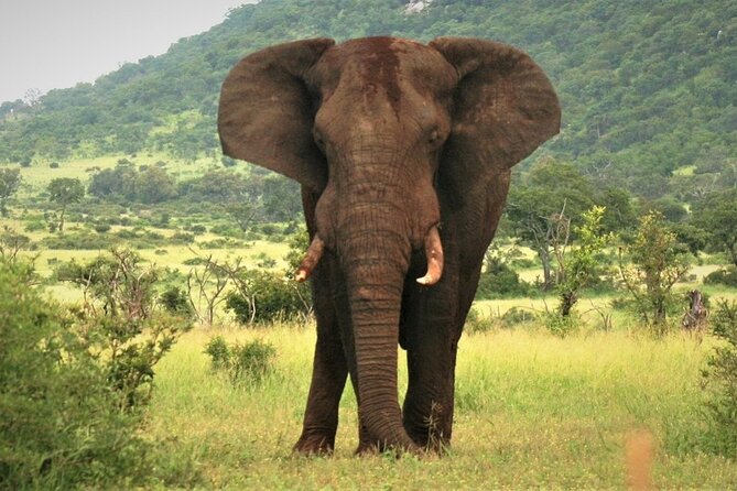 3-Day Tarangire, Lake Manyara and Ngorongoro - What the $700 price really covers