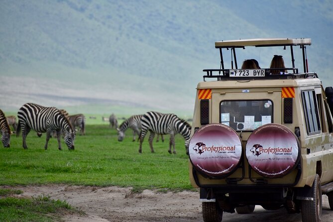 3 Day - Tarangire, Ngorongoro Crater Lake Manyara- Mid - Range - Day 3: Forest, monkeys, and Lake Manyara
