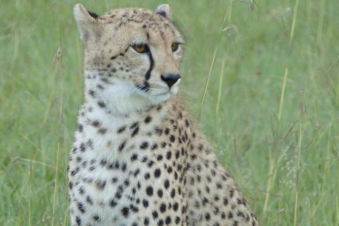 3 Day - Tarangire, Ngorongoro Crater Lake Manyara- Mid - Range - Food, lodging, and what the price includes