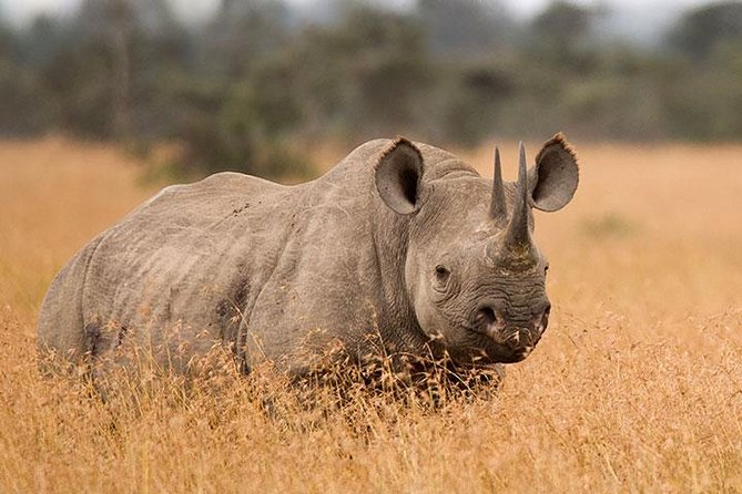3-Day Tarangire, Ngorongoro Crater, Manyara Park - Why this three-day route works