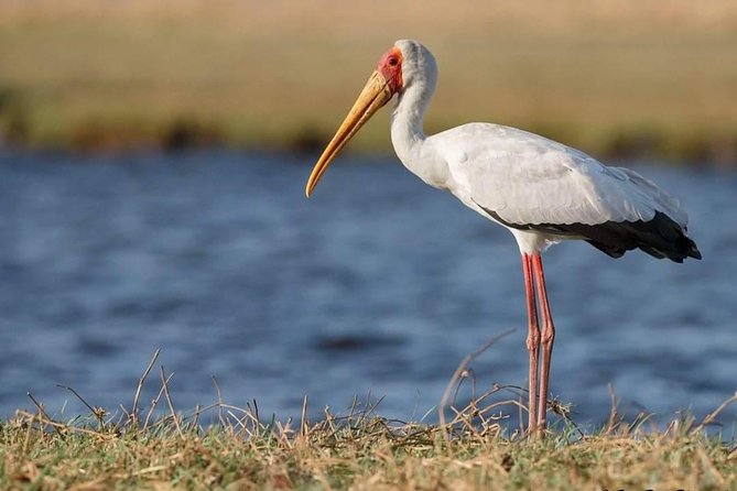 3-Day Tarangire NP, Manyara NP & Ngorongoro Crater - Tarangire’s baobabs and elephant country