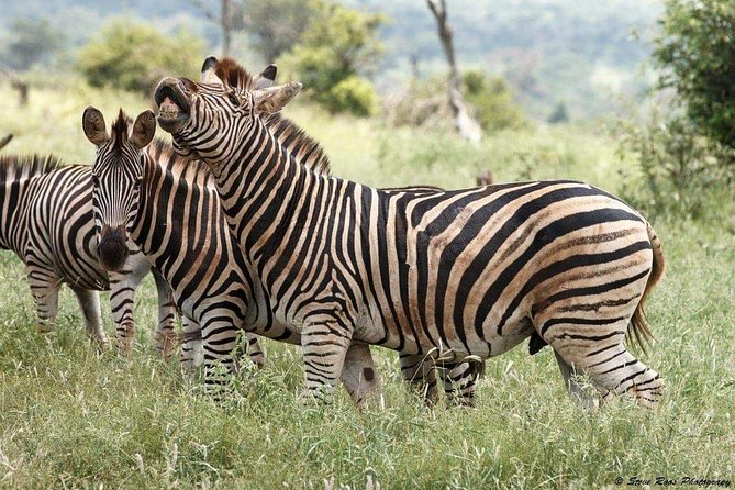 3-Day Tarangire NP, Manyara NP & Ngorongoro Crater - The small-group setup and daily pace