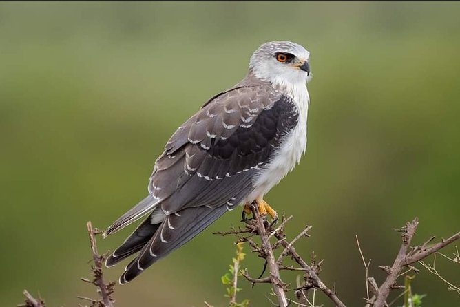 3-Day Tarangire NP, Manyara NP & Ngorongoro Crater - Who should book this three-day route