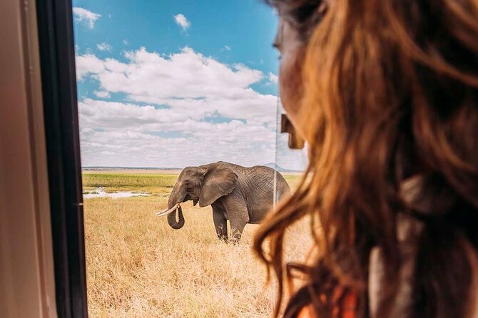3-Day Taste of Tanzania Safari (Tarangire National park and Ngorongoro Crater) - What the $900 price really covers