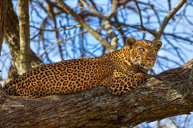 3-Day Taste of Tanzania Safari (Tarangire National park and Ngorongoro Crater) - Practical details that affect your decision