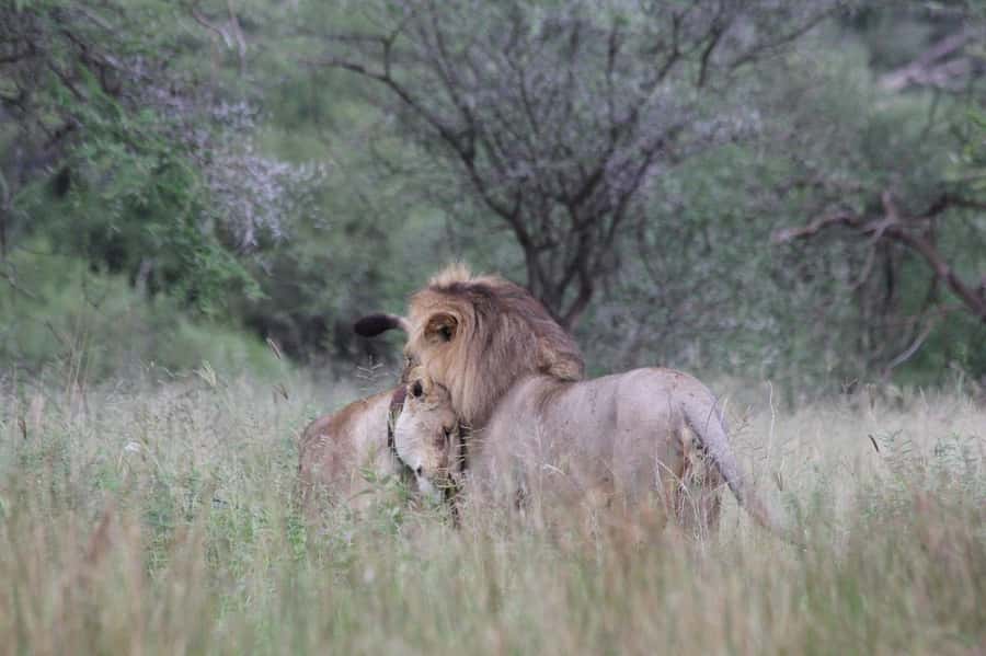3-day unforgettable memories from Dar-es-Salaam to Mikumi NP - Day three: returning to Dar es Salaam