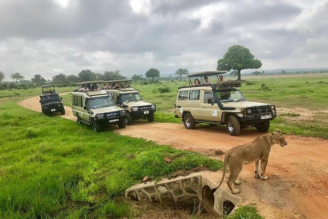 3 Days 2 Nights Adventures At Mikumi National Park - Day three: an early breakfast and the return to Dar es Salaam