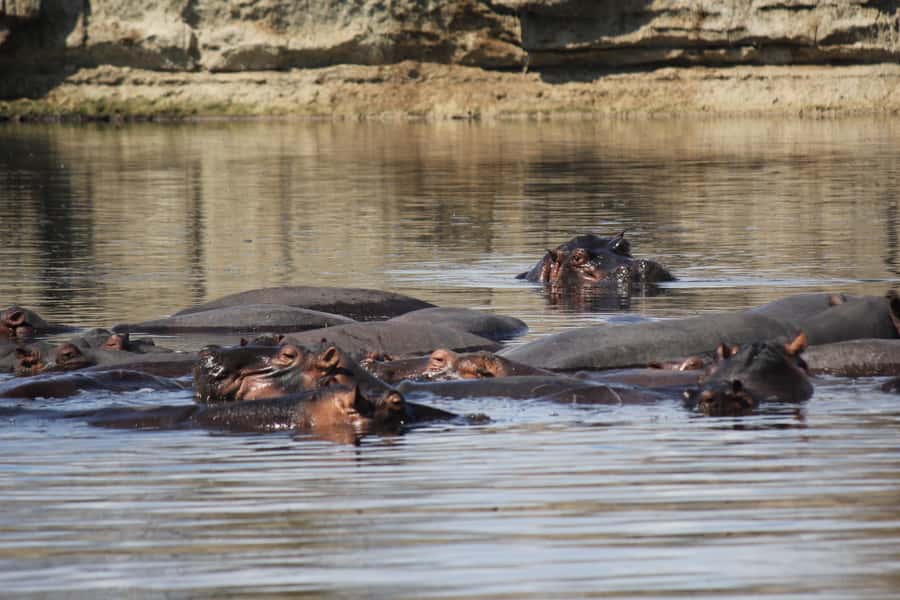 3 Days 2 Nights Amazing Masai Tour & Mikumi National Park - Bastian Camp and the overnight setup