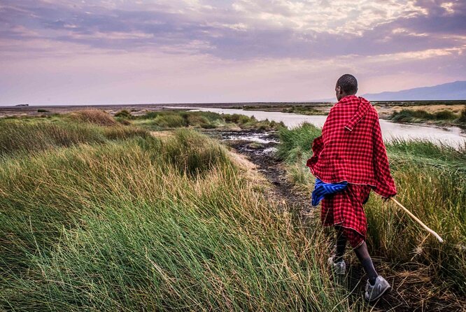 3 Days 2 Nights Group Joining Serengeti and Ngorogoro Safari - What budget camping is really like