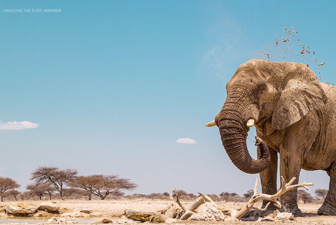 3 Days 2 Nights Group Joining Serengeti and Ngorogoro Safari - The vehicle, group size, and daily comfort