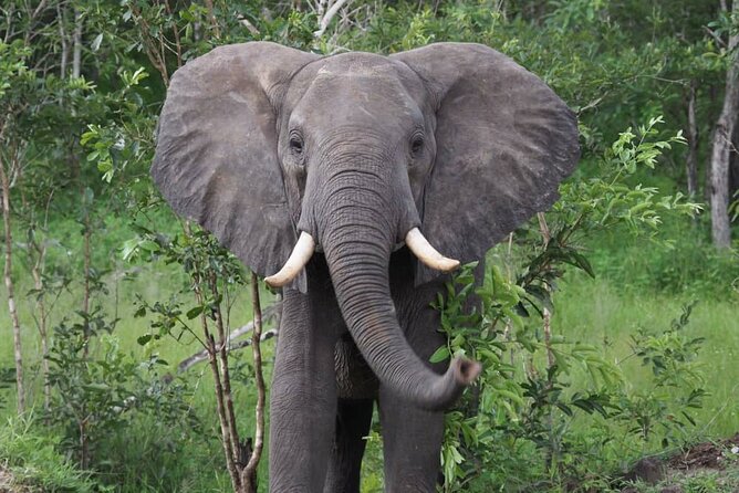 3 Days 2 Nights Private Safari Tour in Mikumi - Day 1: The five-hour road to Mikumi