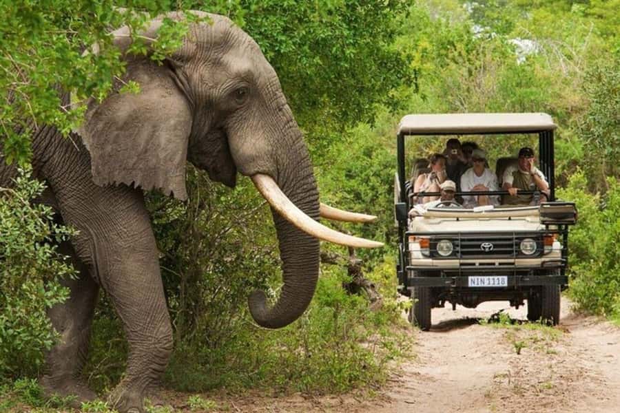 3 DAYS, 2 NIGHTS SAFARI FROM ZANZIBAR TO MIKUMI BY FERRY. - Why take the ferry and train to Mikumi?