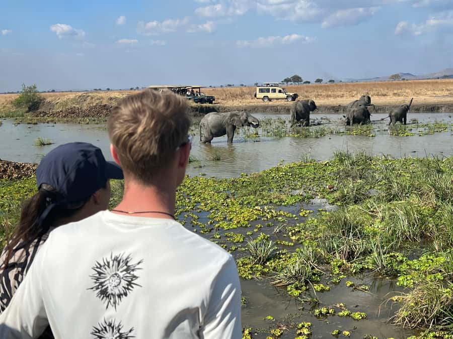3 DAYS, 2 NIGHTS SAFARI FROM ZANZIBAR TO MIKUMI BY FERRY. - Practical planning for the three days