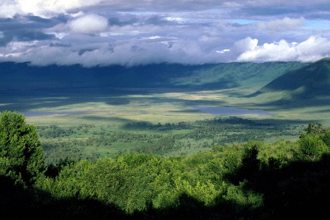 3 Days 2 Nights Serengeti, Ngorongoro & Tarangire Wildlife Lodge Safari - What the Serengeti game drive offers