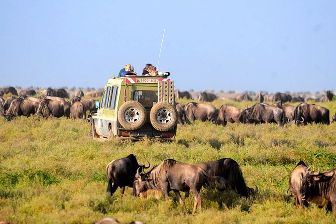 3 Days 2 Nights Serengeti, Ngorongoro & Tarangire Wildlife Lodge Safari - Leaving Arusha for the Serengeti
