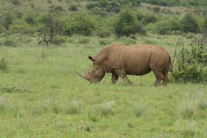 3-Days 2-nights Tanzania Private Budget Camping Safari - Three parks in three days from Arusha