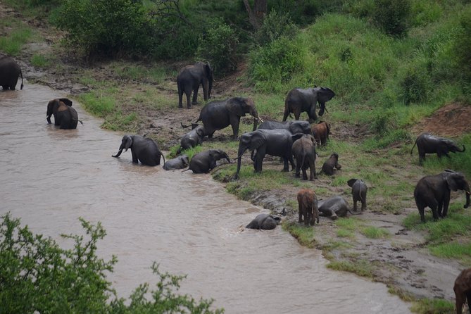 3 Days All Inclusive Zanzibar to Tarangire Ngorongoro - Ngorongoro Crater and its concentrated wildlife