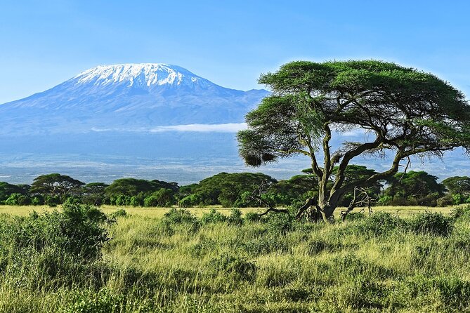 3 Days All Inclusive Zanzibar to Tarangire Ngorongoro - Is $1,776.32 a fair price?