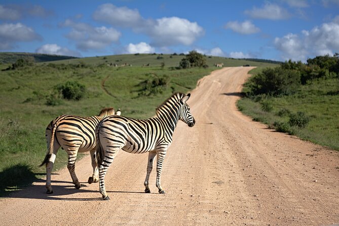 3 Days Amzing Safari in Tarangire and Nngorongoro - What the $708.34 price includes
