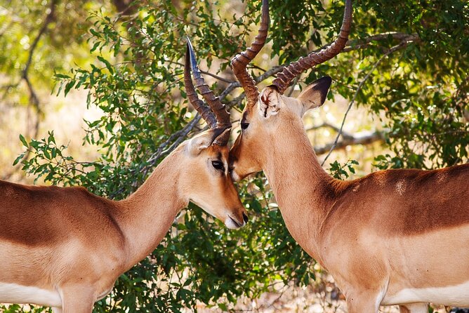3 Days Amzing Safari in Tarangire and Nngorongoro - Who will get the most from this trip
